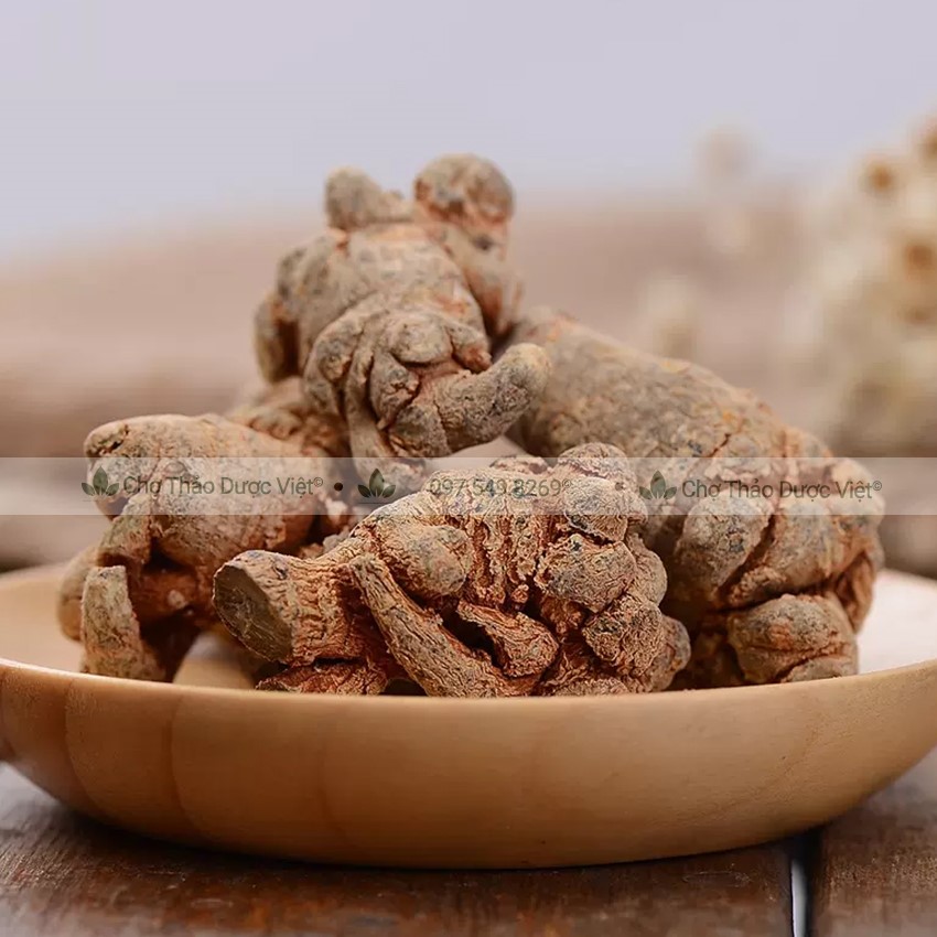 Củ Tam Thất Bắc 500g (7 Củ/100g)