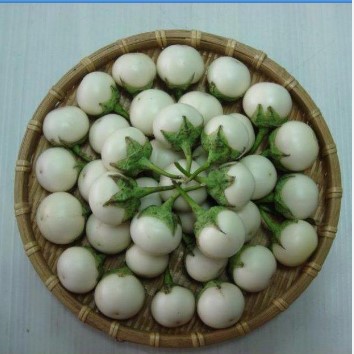 Hạt Giống Cà Pháo Trắng (0.5gr)
