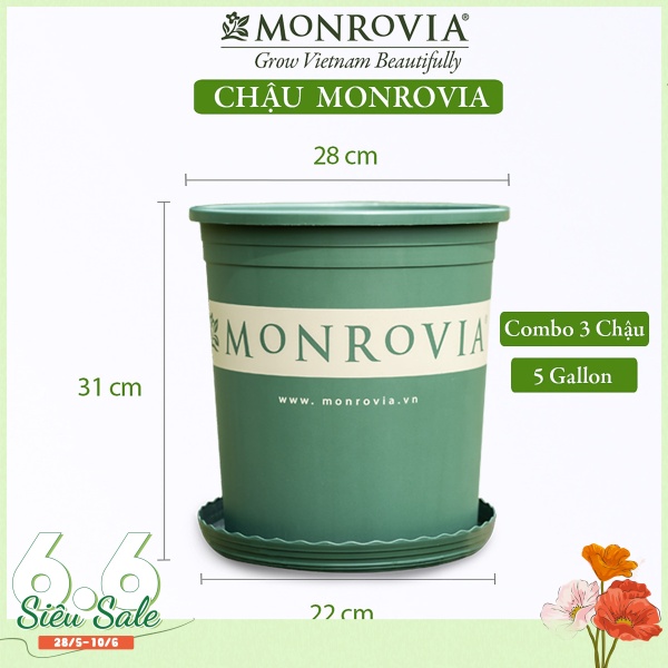 3 Chậu nhựa trồng cây MONROVIA 5 GL, chậu trồng cây, chậu cây cảnh mini, để bàn, treo ban công, treo tường, cao cấp, chính hãng thương hiệu MONROVIA