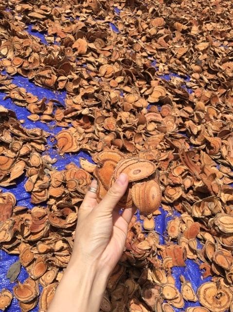 Cỏ Máu 1kg