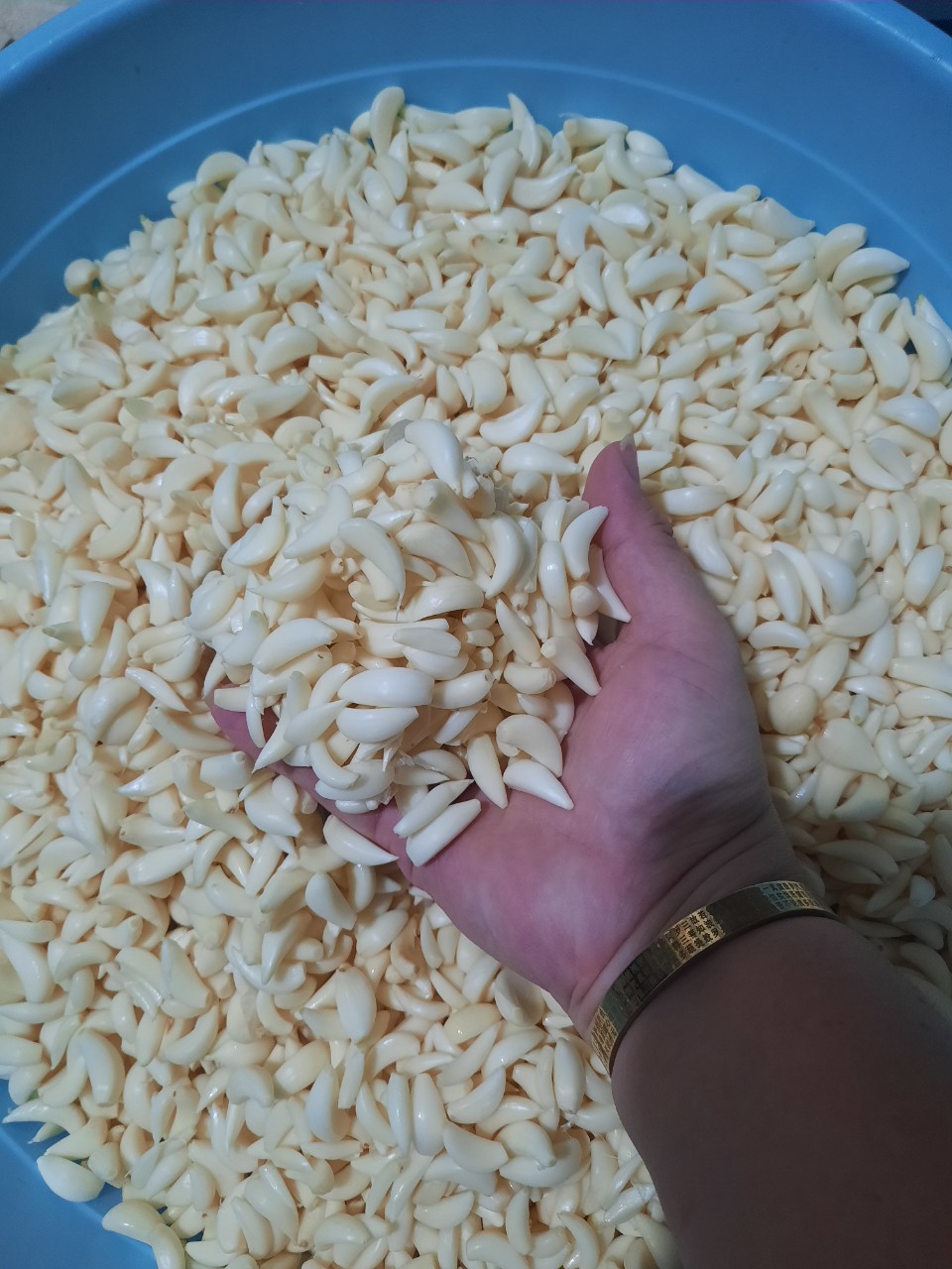 Tỏi LÝ SƠN -1Kg 2 gói Lột Sẳn Lột Khô Thủ Công CHỈ LỘT KHI CÓ ĐƠN