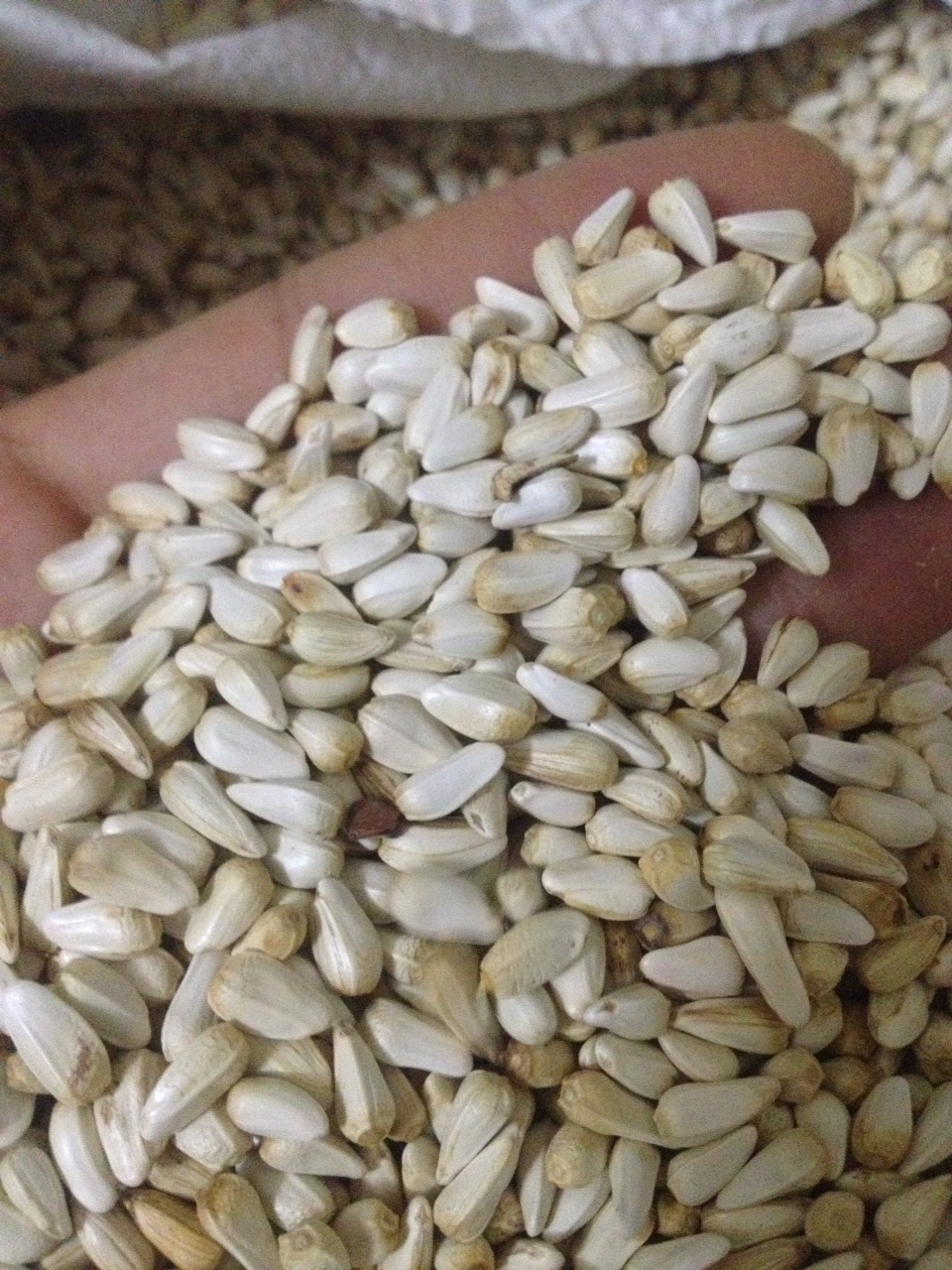 hạt kham trắng thục phẩm cho chim gà 1kg