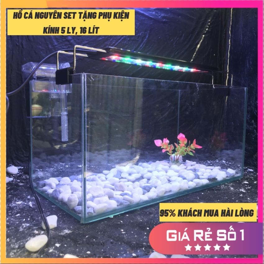 Bể cá mini 40cm COMBO đầy đủ có đèn led siêu dễ thương 3 chế độ sáng