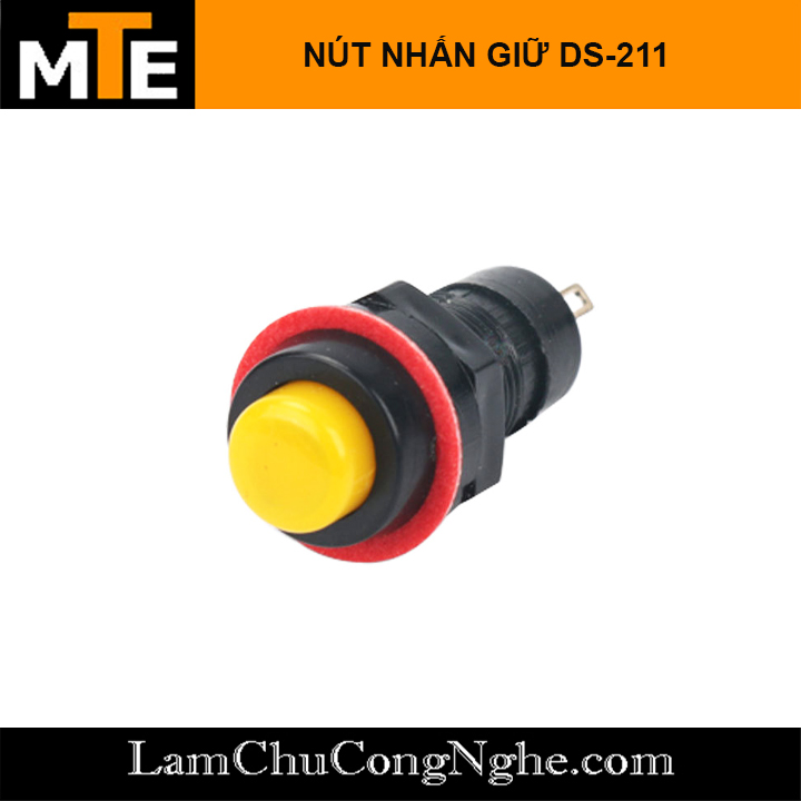 Nút nhấn giữ DS-211 10mm các màu