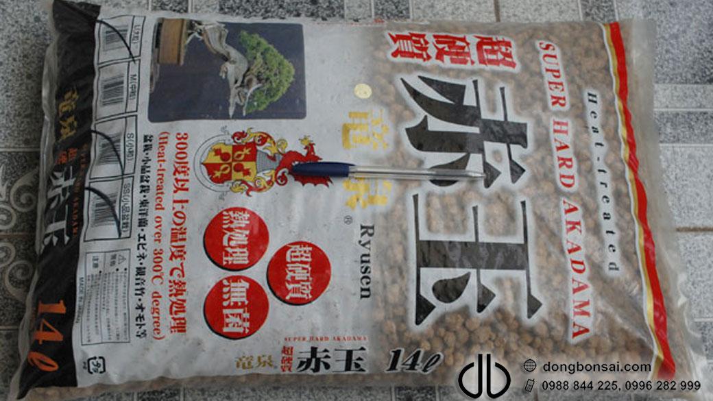 Đất nung Hard Akadama SS Ryusen Nhật Bản