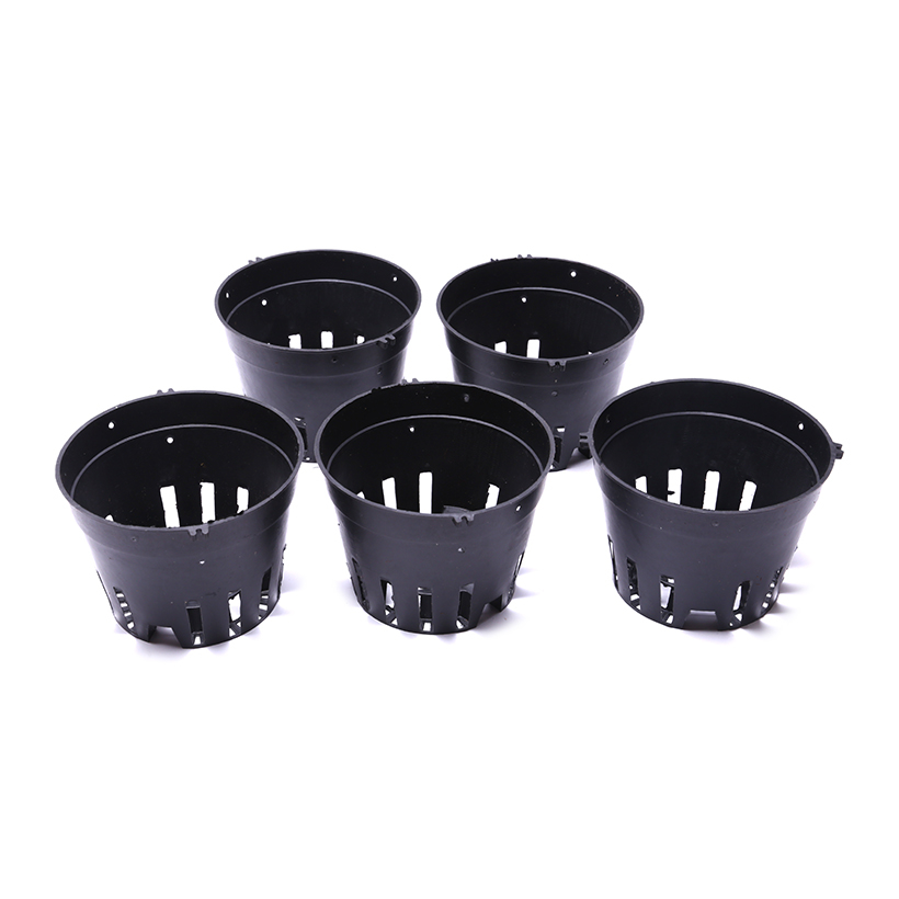 Combo 10 Chậu Nhựa Trồng Lan Phi 14
