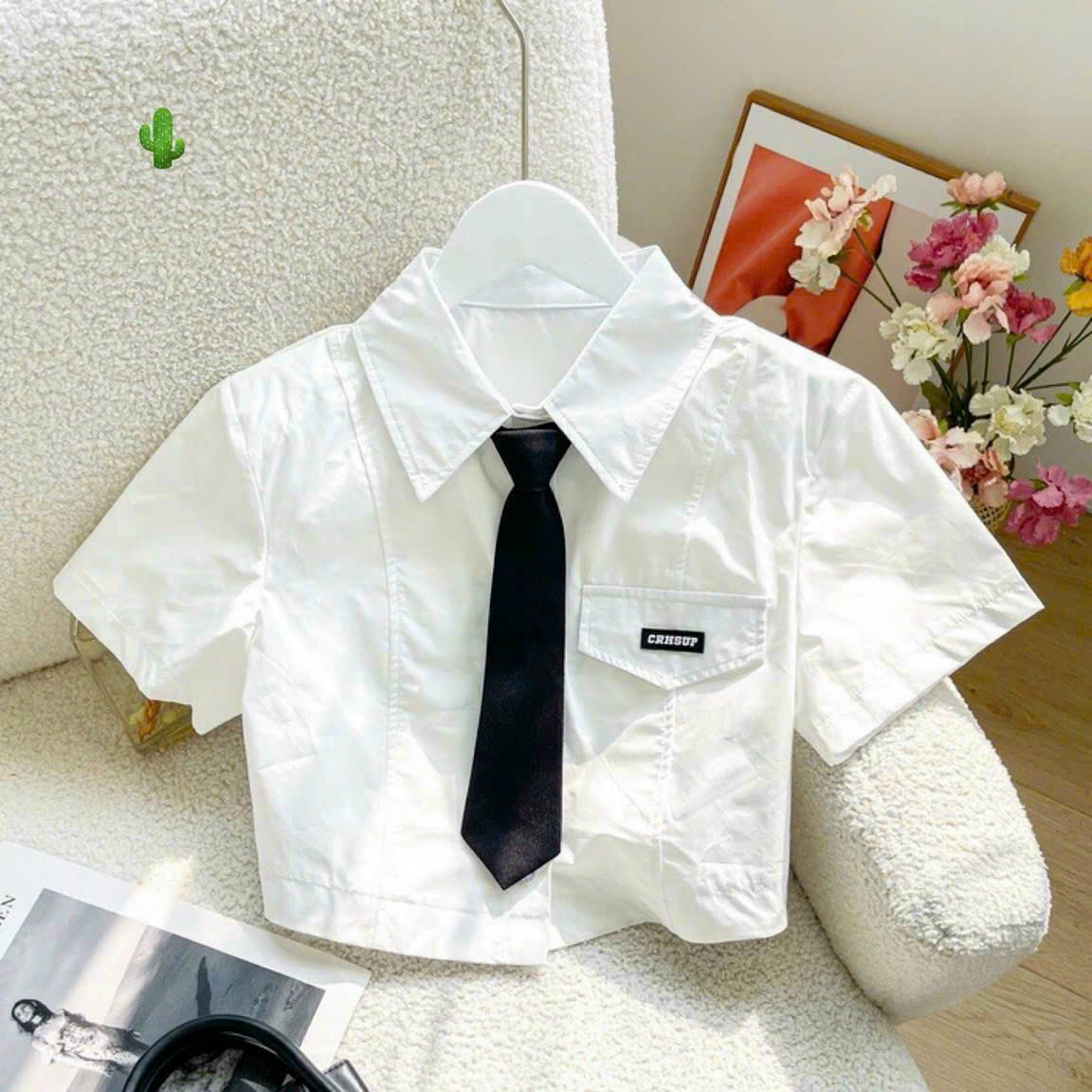 [HCM]ÁO sơ Mi Ngắn Tay Phối Cavat