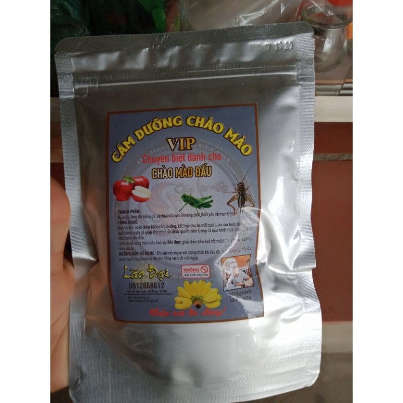 Cám chim lão Đại(chim chào mào)