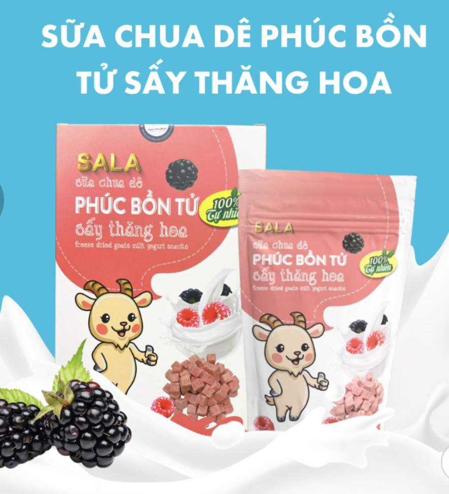 SỮA CHUA DÊ SẤY THĂNG HOA