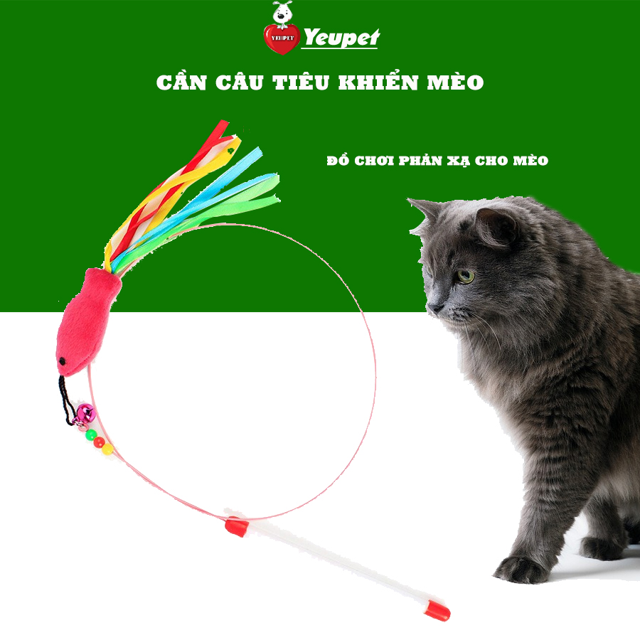 Đồ chơi cho mèo - Cần câu mèo(mẫu ngẫu nhiên) CM09