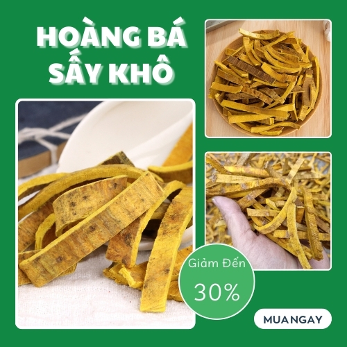 [Hàng công ty] Hoàng bá sấy khô 500g -  Tấn Phát - Chuyên dùng để pha trà và sắc nước uống