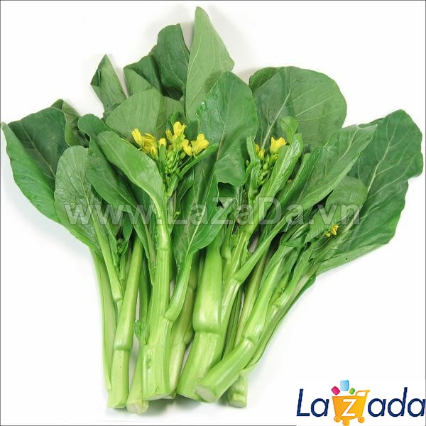 1KG Hạt Giống Cải Ngọt Ăn Bông (| G7*W55) (Brassica juncea)