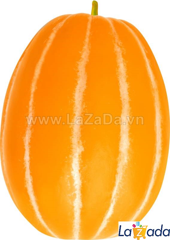 5h Hạt Giống Dưa Lê Hàn Quốc Truyền Thống TG49 (B3.504| A2*X56*M178)