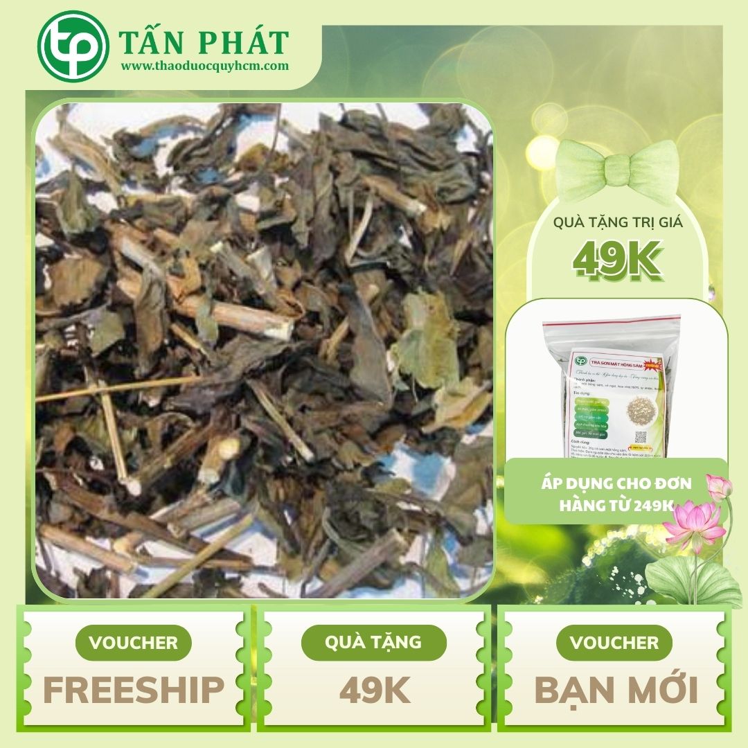 Cây kiến cò sấy khô túi lớn loại 500g  - Hàng công ty chất lượng cao - Thảo Dược Tấn Phát