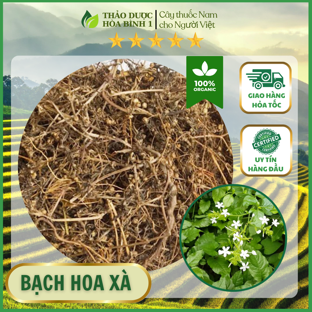 1kg Bạch hoa xà thiệt thảo (khô sạch mới)