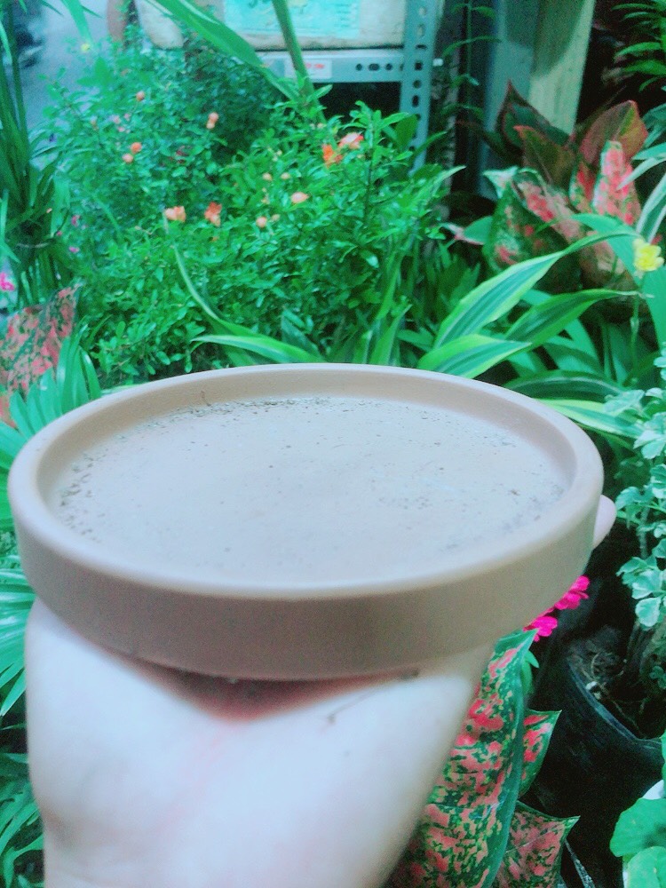 Đĩa Lót Chậu (đường kính 14cm)