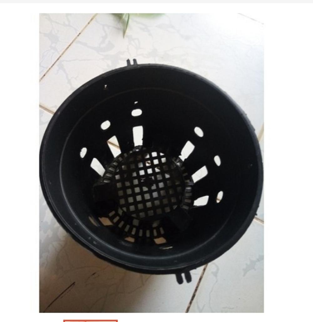10 Chậu nhựa trồng lan phi 21