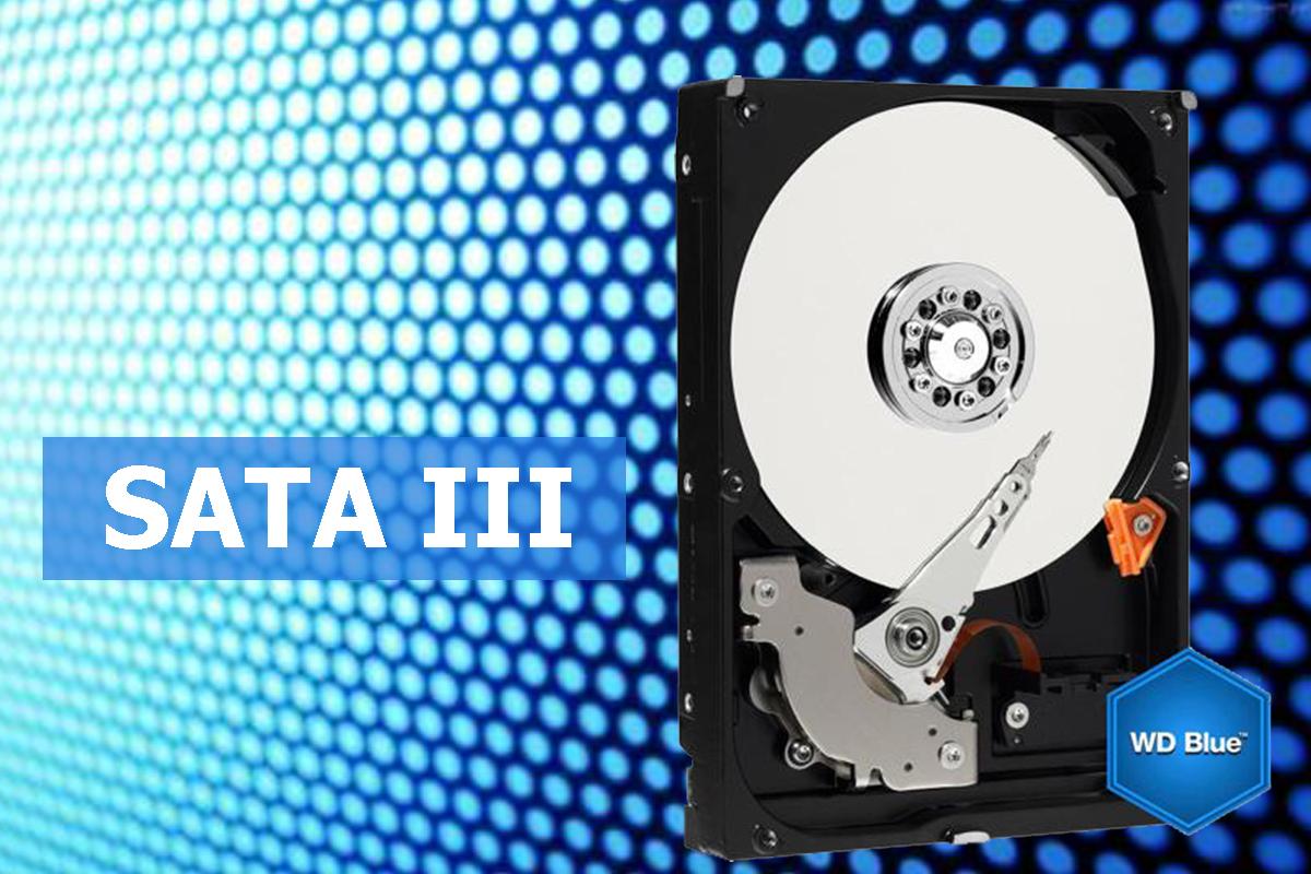 [HCM]Ổ cứng WD Blue 1TB 3.5