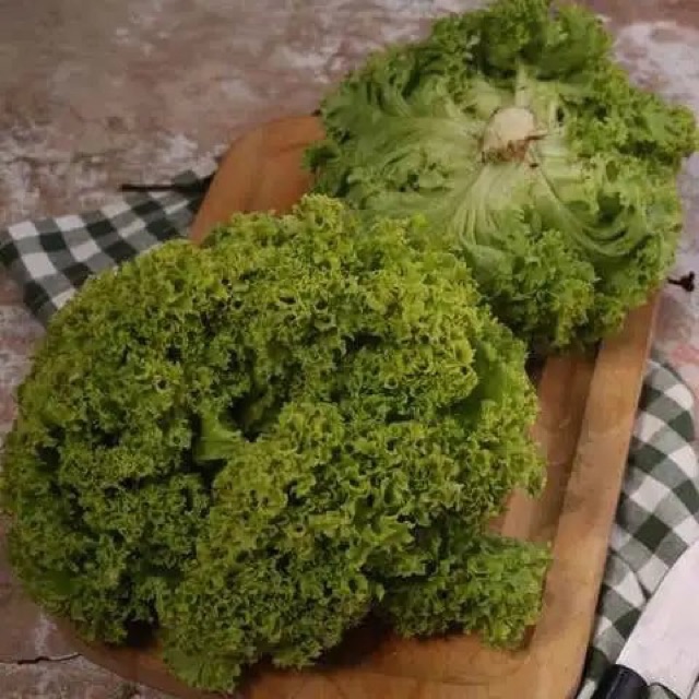 Hat Giong Xà Lách Lolo