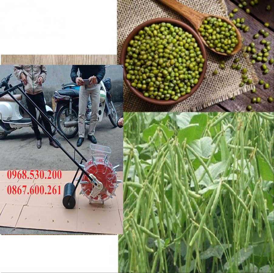 Máy gieo hạt đa năng Vinafarm 989 (12 răng)