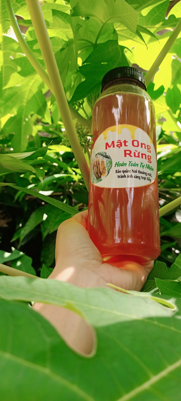MẬT ONG RỪNG ( Cam kết chuẩn 100%)