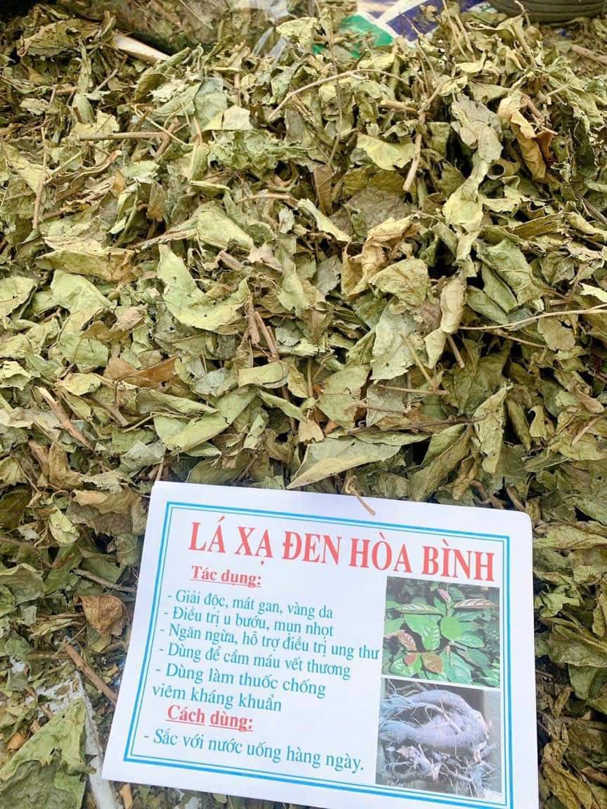 (Dược liệu khô) Cây Xạ đen phơi khô 500g