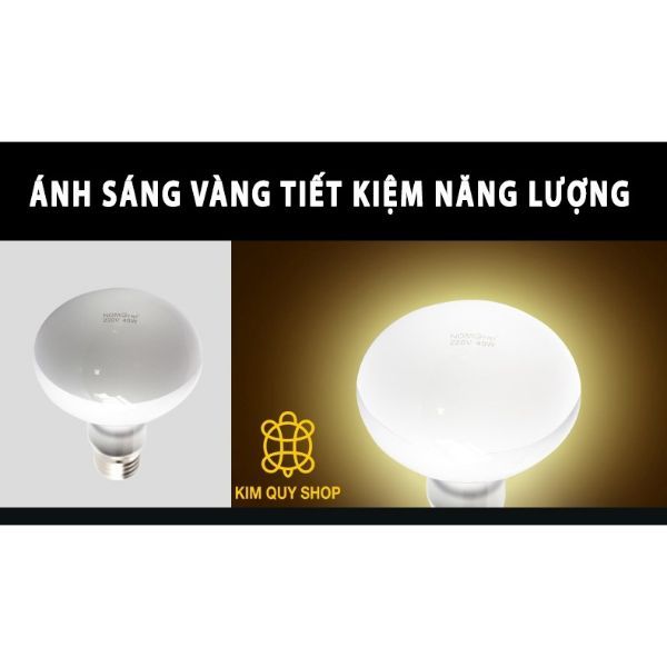 Đèn uva sưởi ngày cho bò sát