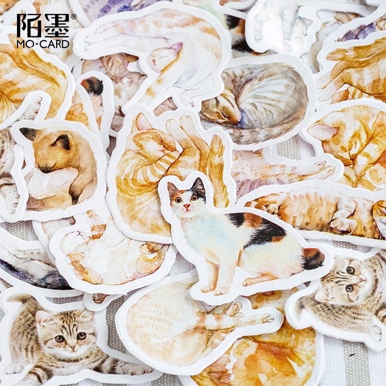 Hộp 45 sticker dán mèo cute Canarystore54