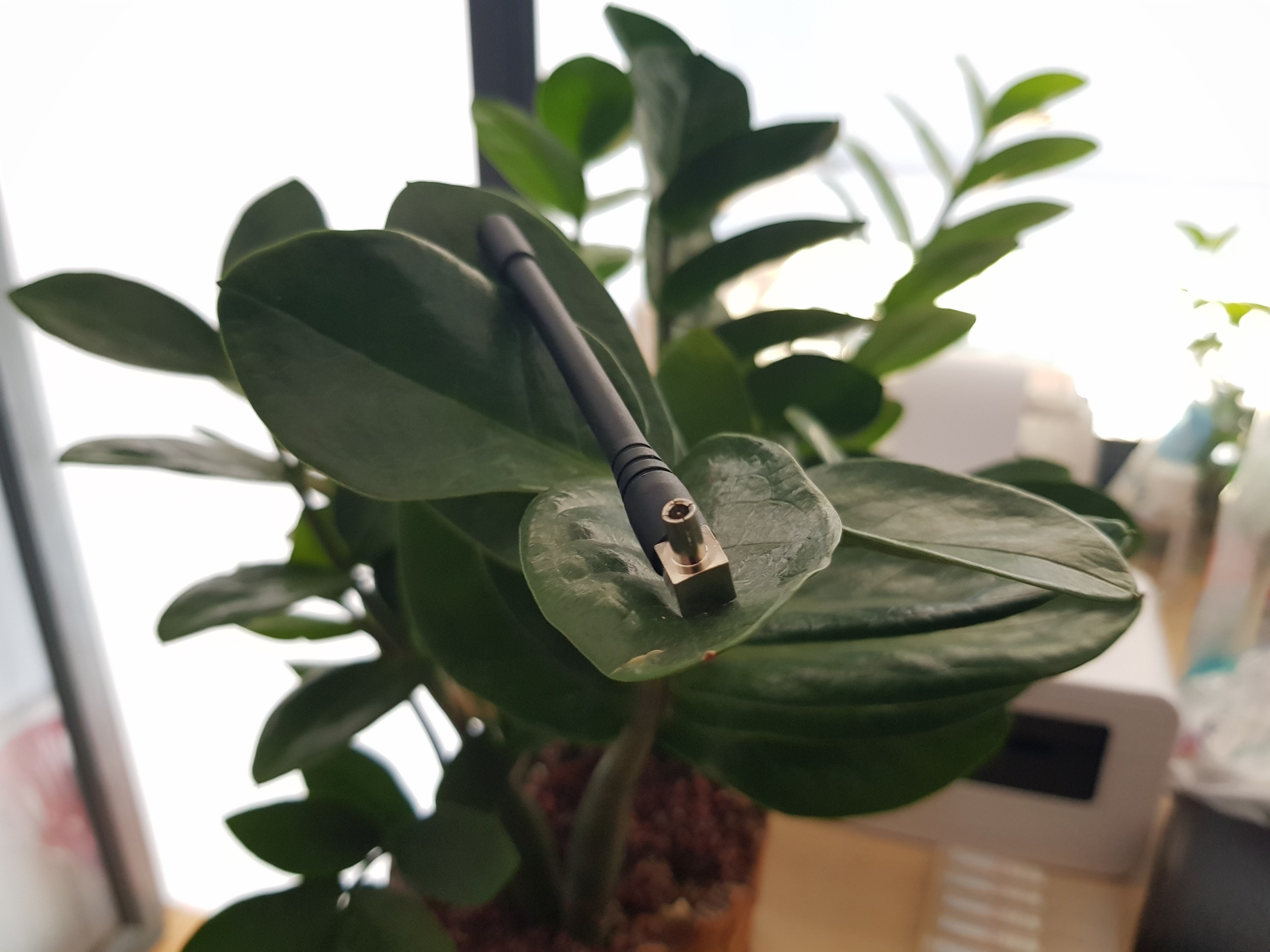 [HCM]Ăng-ten TS9 3dBi cho thiết bị phát wifi usb dcom