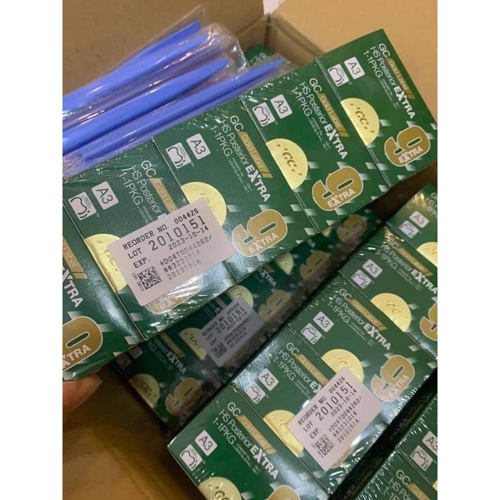 Cement trám Fuji 9 GC 9 Nhật Bản (Fuji IX hộp lớn)