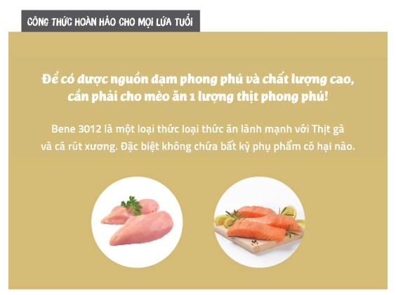 [10kg] natural core cat food