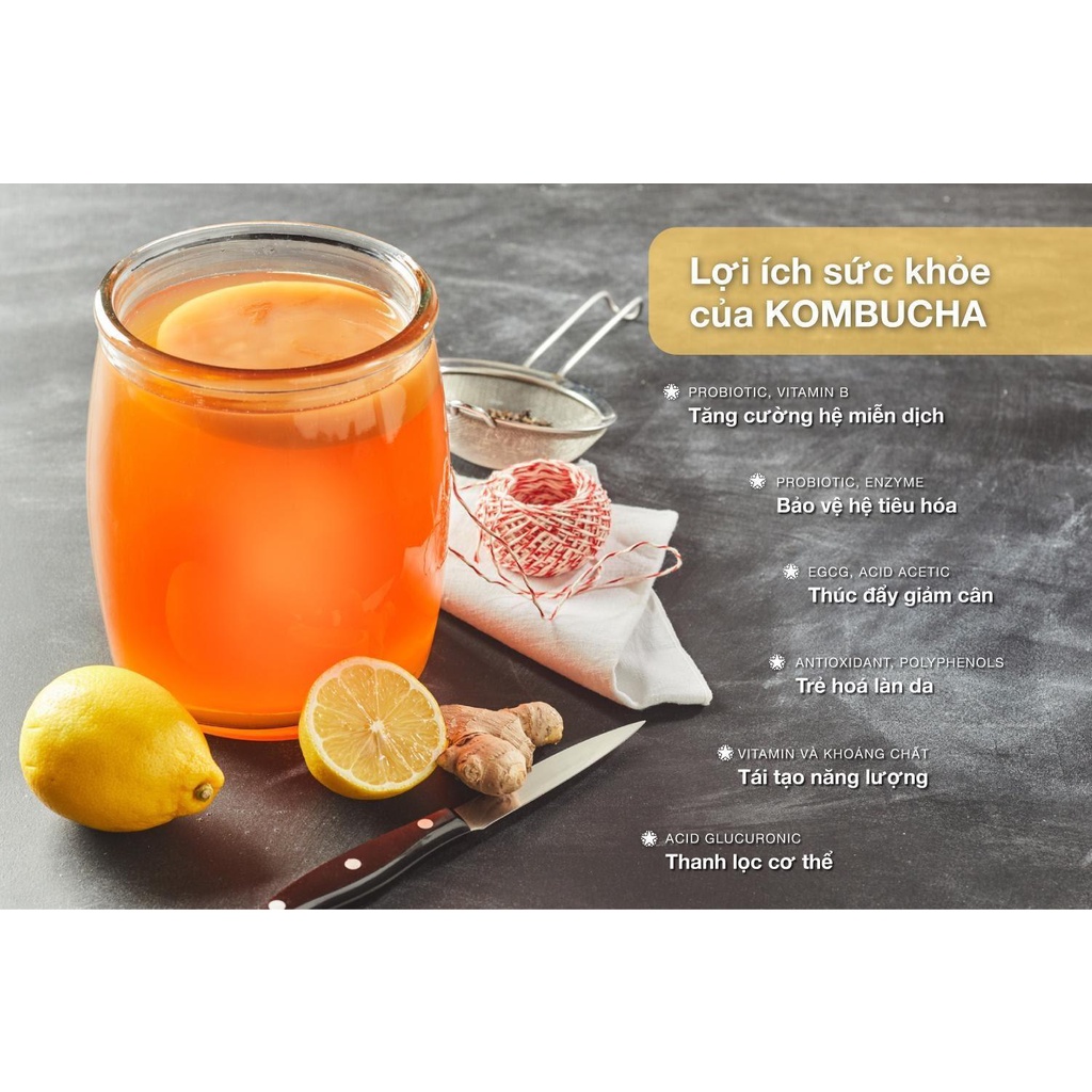 Trà Kombucha hữu cơ Voelkel 750ml
