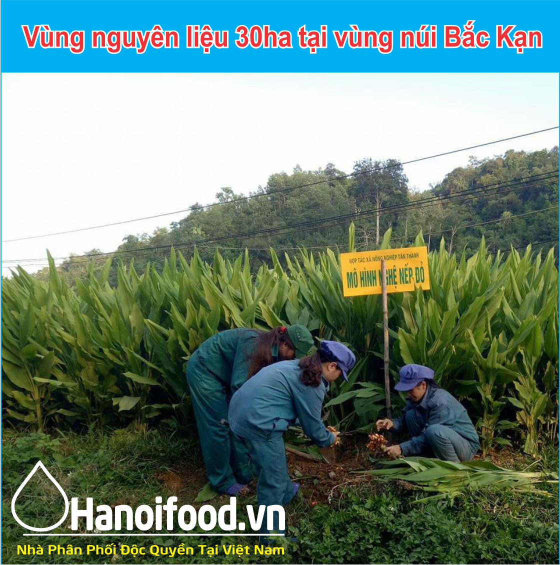 [Nhập RS0822 giảm 30k cho đơn 99k]Tinh bột nghệ 500gr
