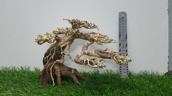 [HCM]Lũa bonsai cấy rêu ( dài23- cao16cm)