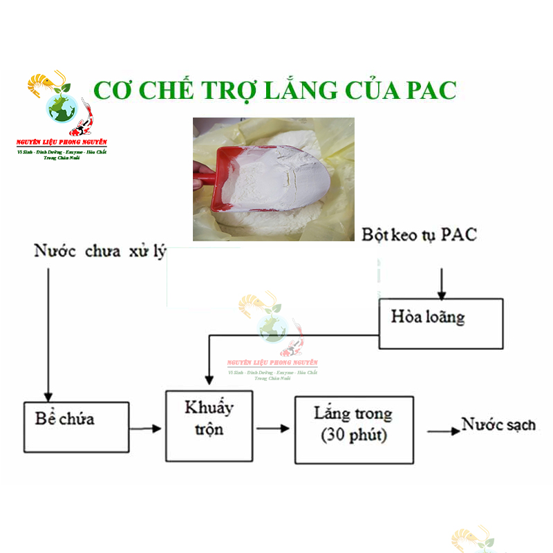 PAC 30% PAC trợ lắng, lắng cặn, lắng lơ lửng làm trong nước hồ bơi, nước ao hồ kênh rạch, PAC trắng Ấn Độ