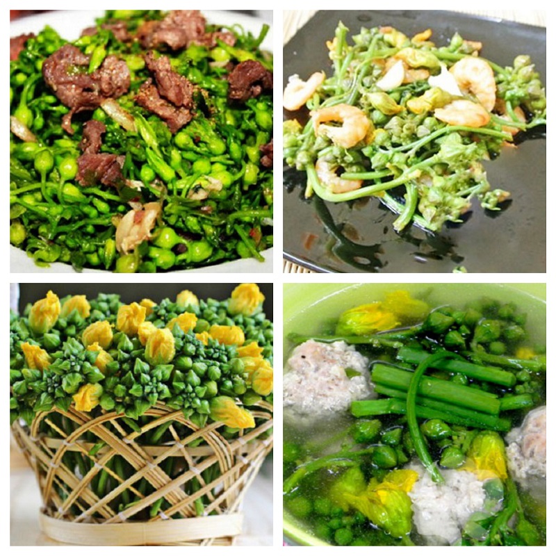 Hạt Giống Mướp Siêu Nụ