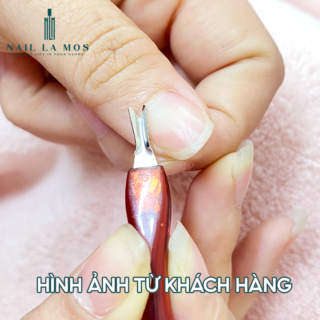 Cây lấy khóe, đẩy da chết màu nho
