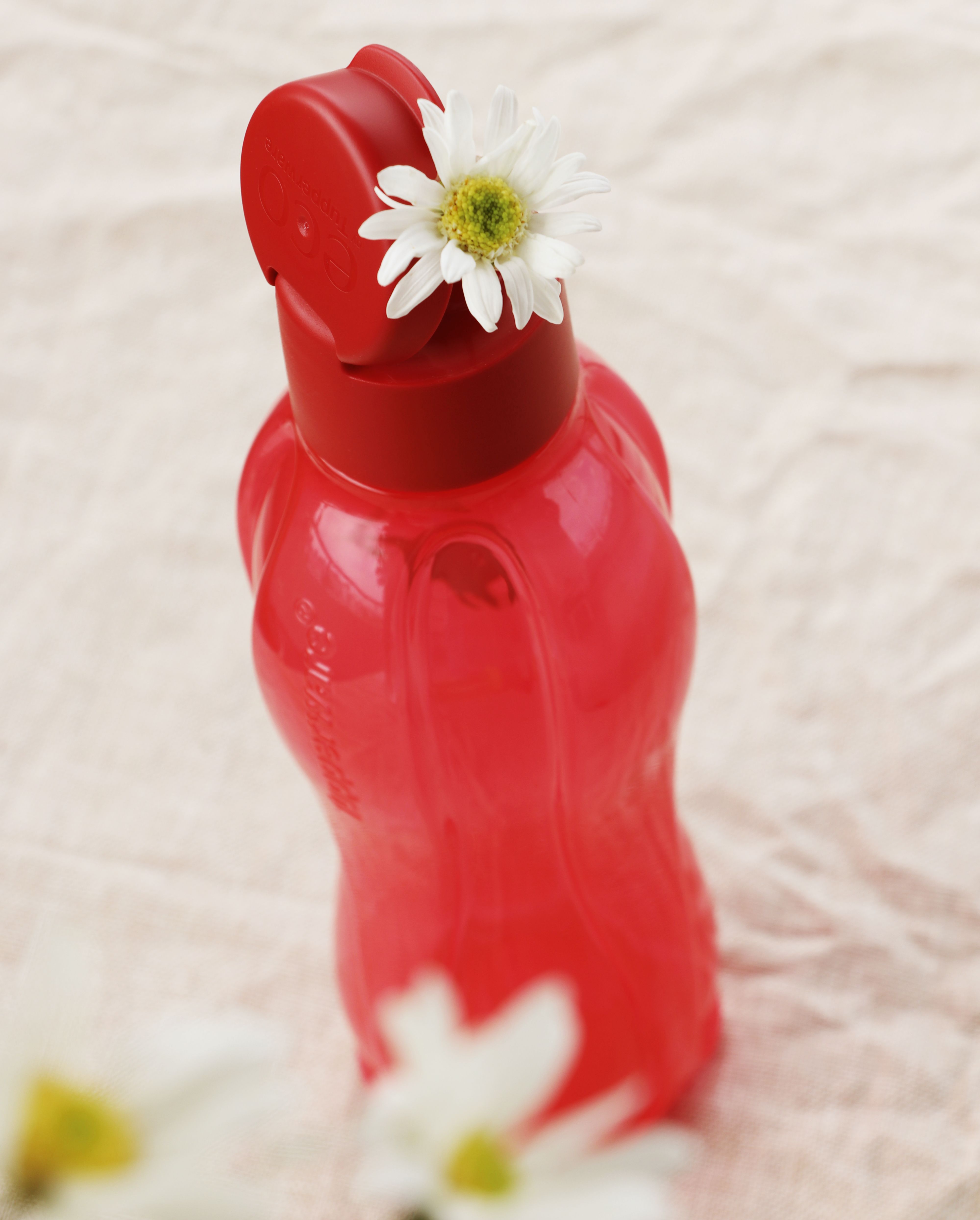 Bình nước Tupperware Eco Bottle Gen II 1L
