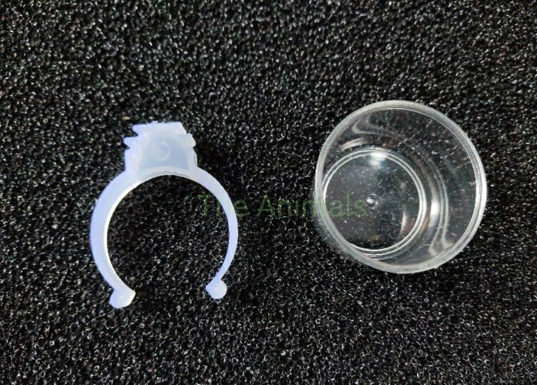 Combo 5 cóng ăn uống cho các loại chim