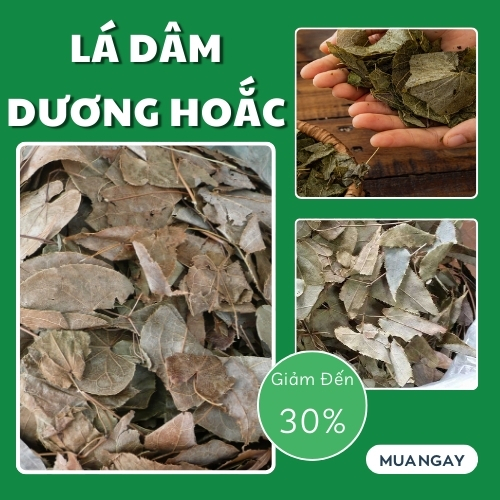 Dâm Dương Hoắc Large Bag 500 Grams - Tons Shipped - Specialized for Making Tea or Soaking in Wine to Improve Men's Health