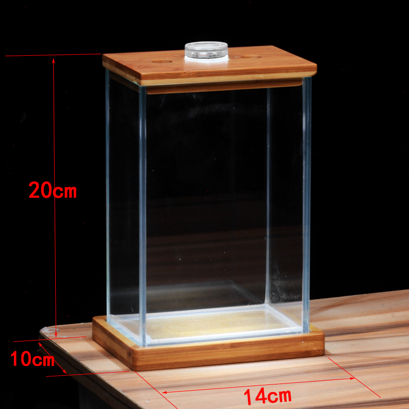 Bể cá chọi Betta-02