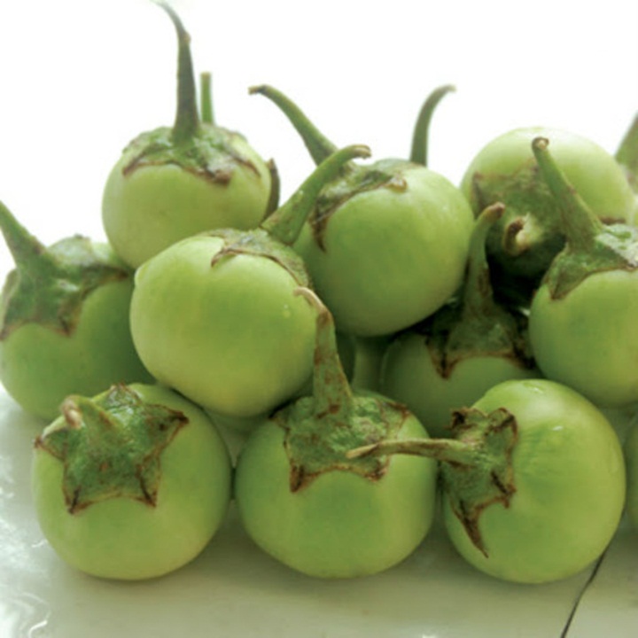Hạt giống cà pháo xanh