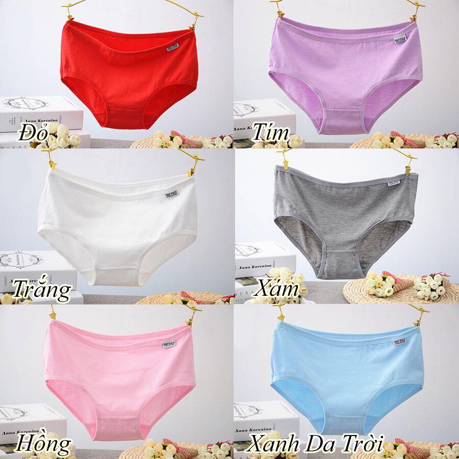 Combo 3 Quần lót cotton Pulo MX