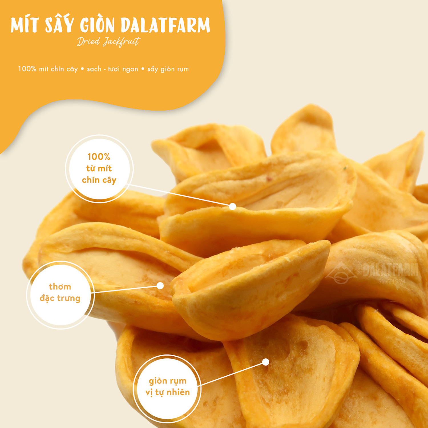 Mít Sấy Giòn DalatFarm - Túi 200g