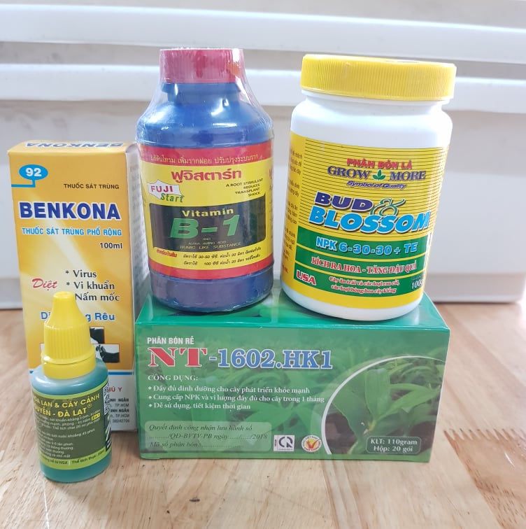 Combo phân bón cho hoa lan, hoa cây cảnh từ nhỏ đến khi ra hoa