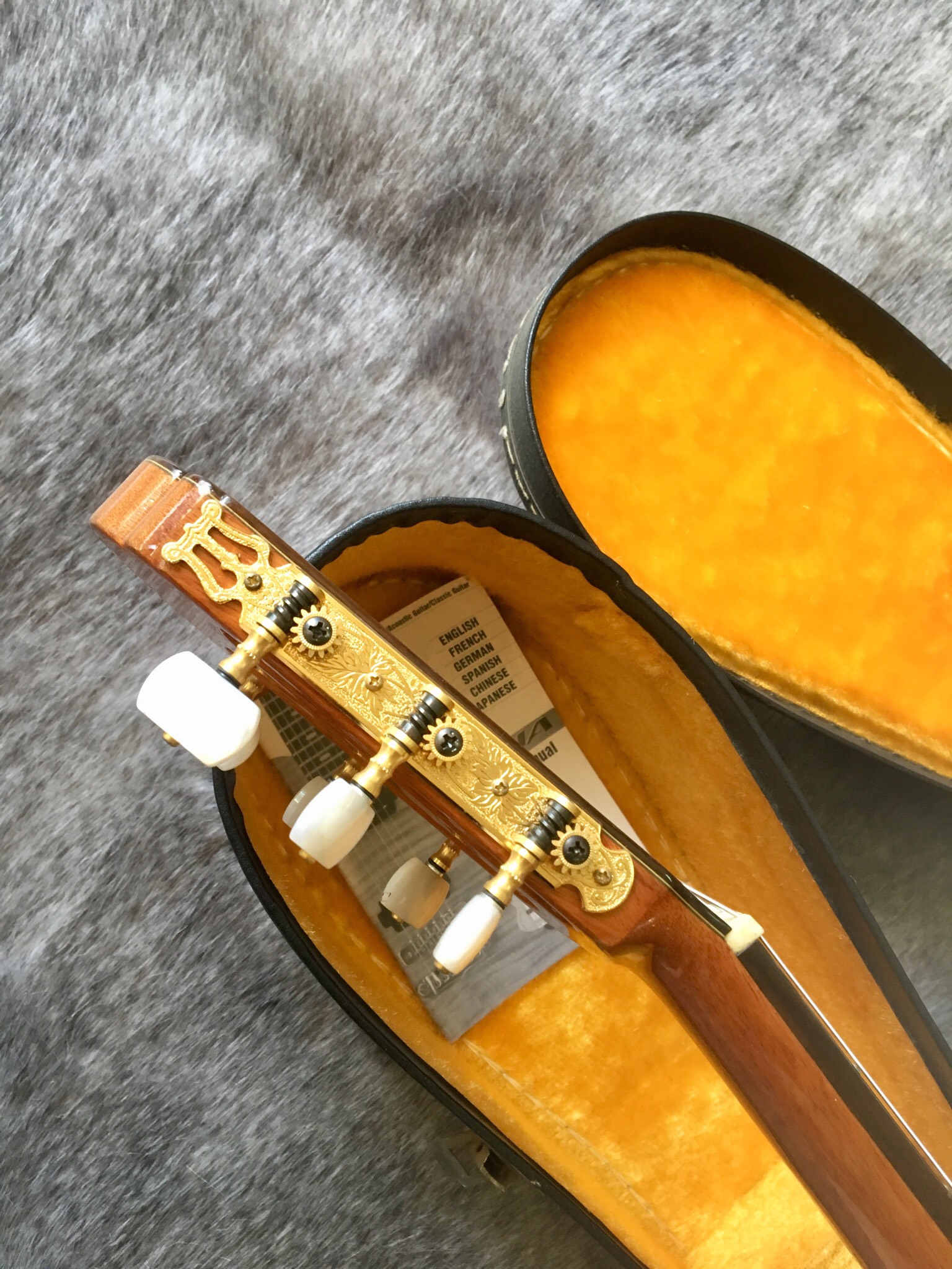 Guitar Aria ew 60