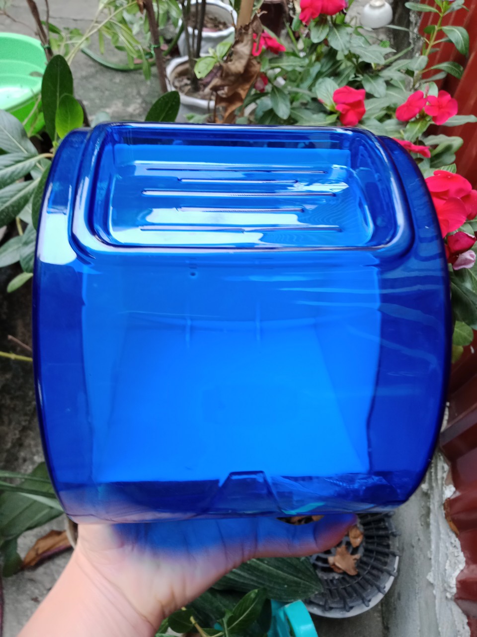 lô giấy vệ sinh kín