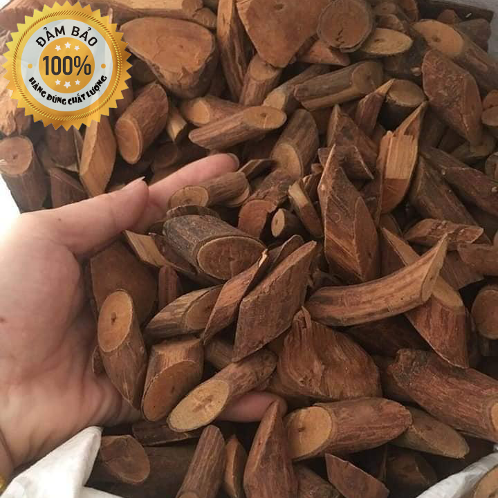 [HCM]Cây Mú Từn - Thân chọn cao cấp (1kg)