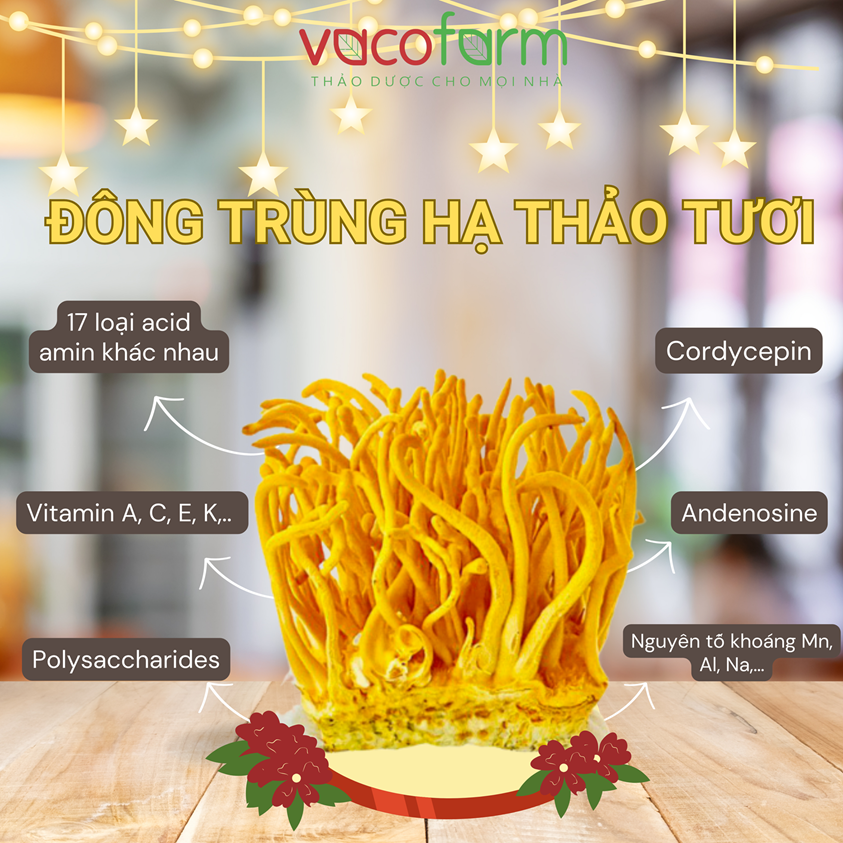 Nấm Đông trùng hạ thảo tươi Vacofarm Hộp 180gr - Nguyên sợi, tăng cường sức khỏe, đẹp da, làm quà