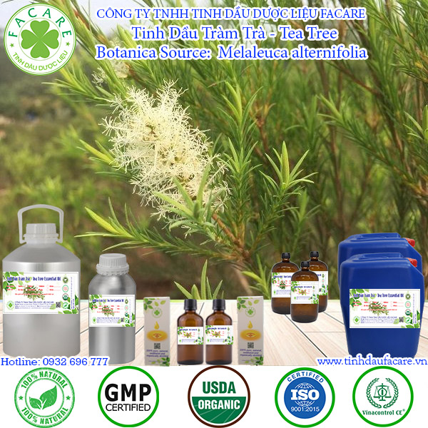 Tinh dầu Tràm Trà Tea tree essential oil - 10ml